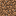 Dirt ×1