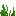 Seegras